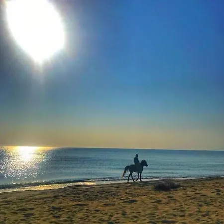 Nova Port Boutique * 泰基尔达