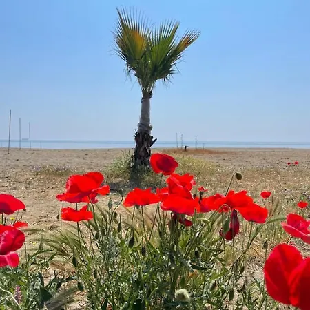 Nova Port Boutique * Tekirdağ